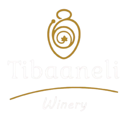 Tibaaneli logo